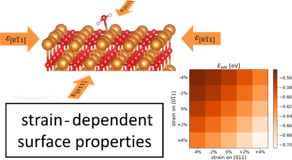 Influence of strain on the adsorption properties of oxide surfaces