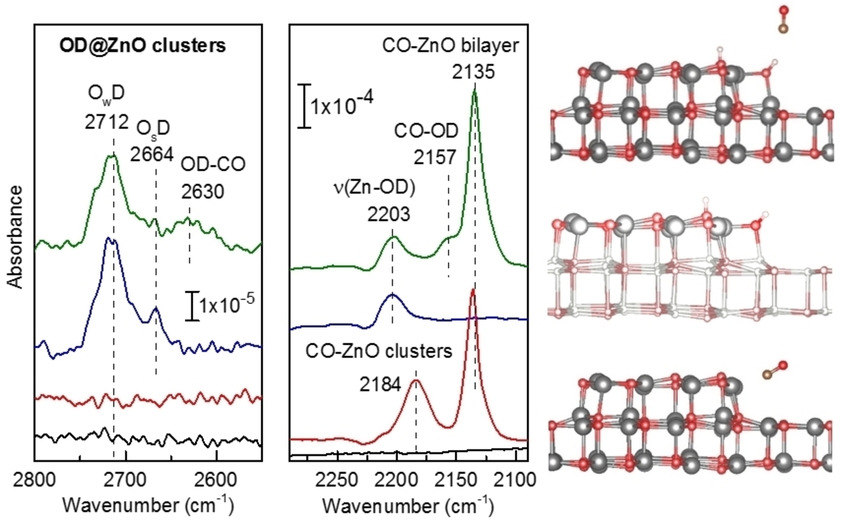 IR Spectra of adsorbed CO and OD on ZnO Clusters.