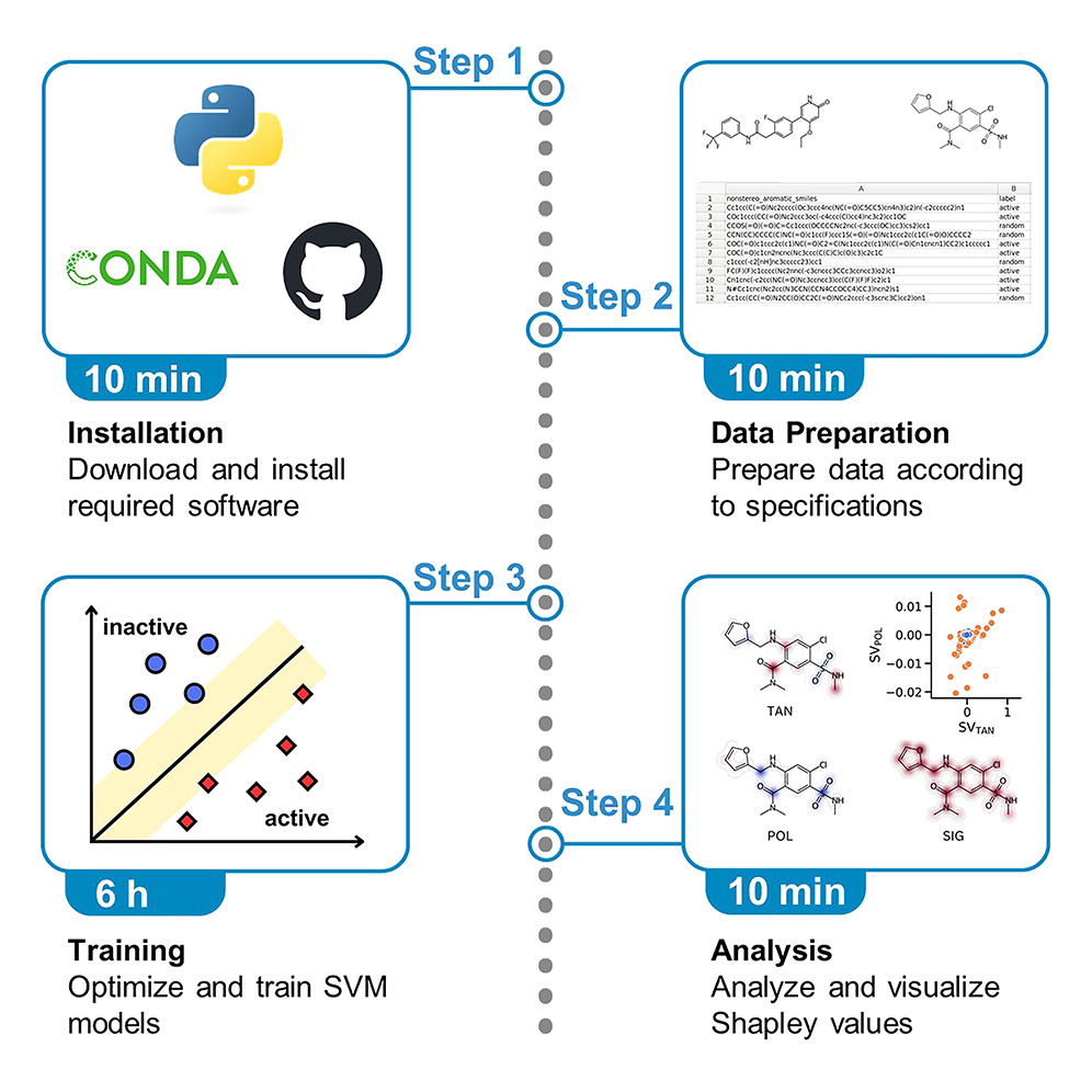 Workflow of the protocol